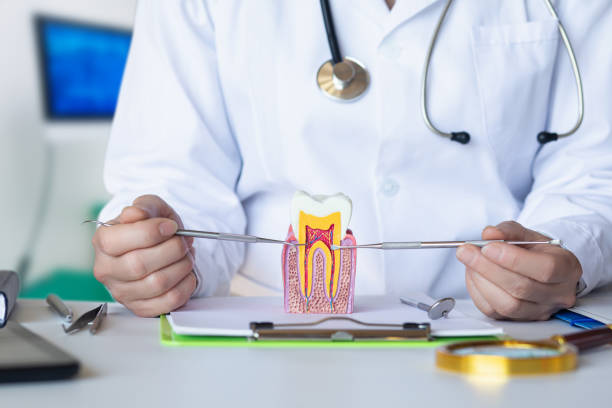 Best Dentist for Tooth Abscess  in Lebanon, PA